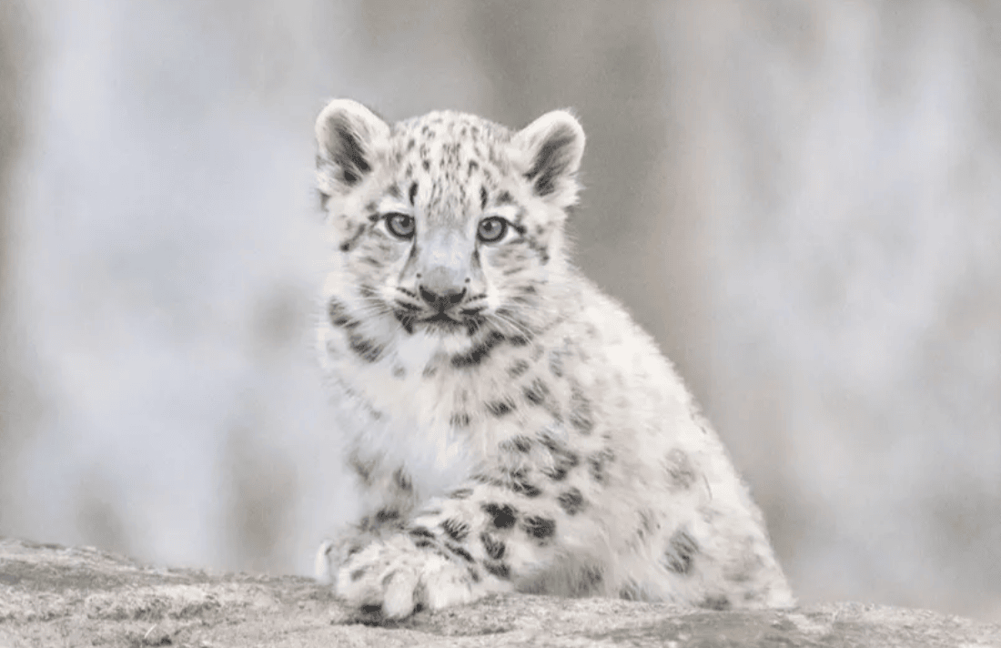 墨爾本親子景點推介